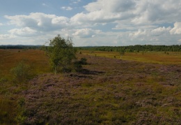 Panoramablick