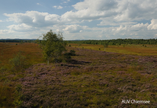 Panoramablick