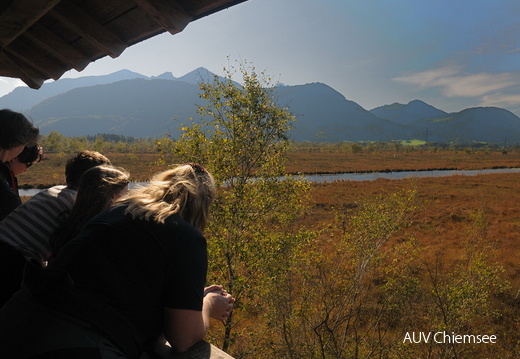 Turmausblick nach Süd-Westen