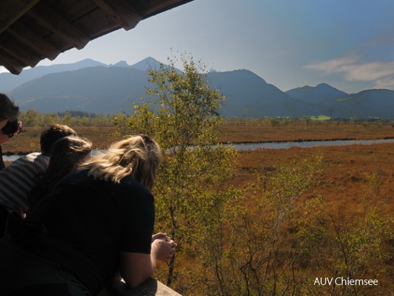 Turmausblick nach Süd-Westen