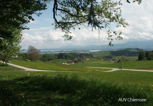 Blick von der Ratzinger Höhe