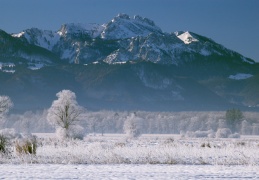 Winter im Grabenstätter Moos