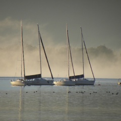 Boote im Morgennebel  -1-