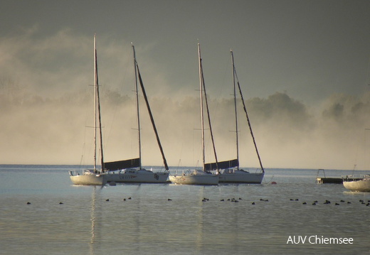 Boote im Morgennebel  -1-