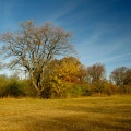 herbstliche Stimmung