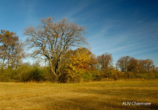 herbstliche Stimmung
