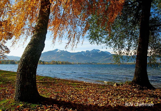 Herbst am Chiemsee