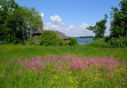 Frühjahr am Chiemsee