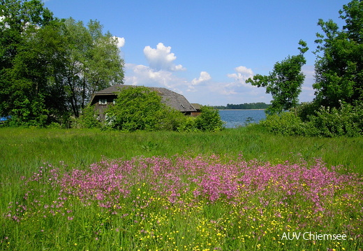 Frühjahr am Chiemsee