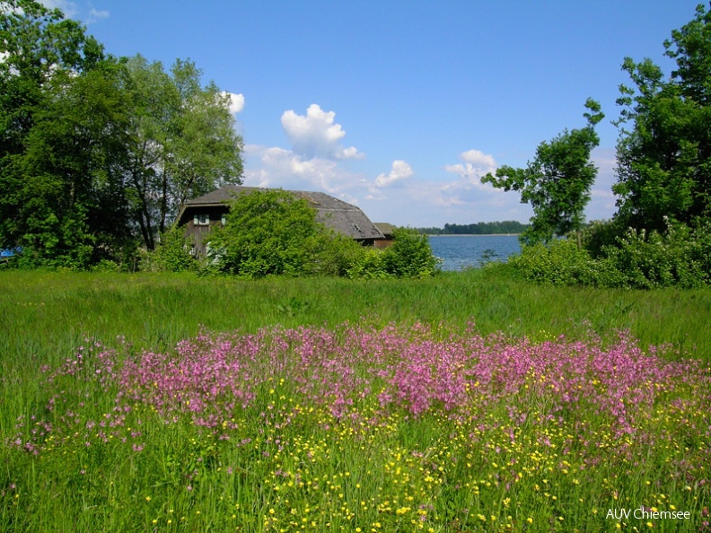 Im Schafwaschener Winkel