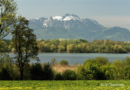 Hirschauer Bucht
