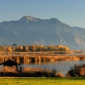 Herbst im Schafwaschener Winkel