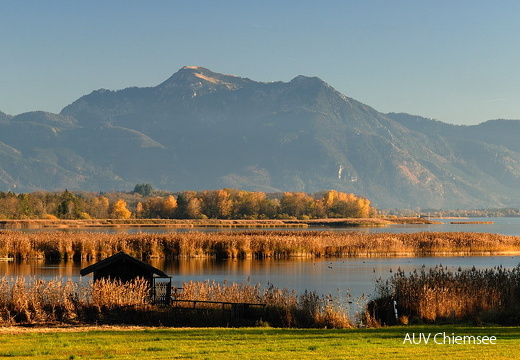 Herbst im Schafwaschener Winkel