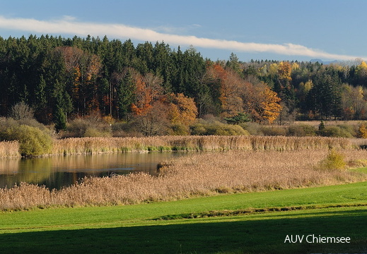 Herbst an der Alz