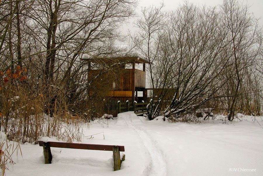 Turm Hirschauer Bucht im Winter