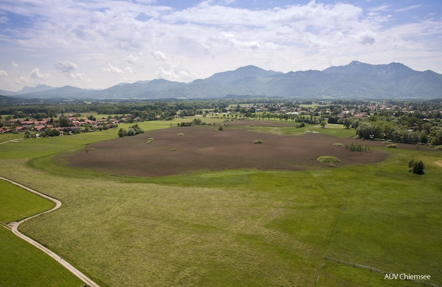 Übersee-Feldwies