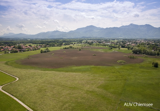 Übersee-Feldwies