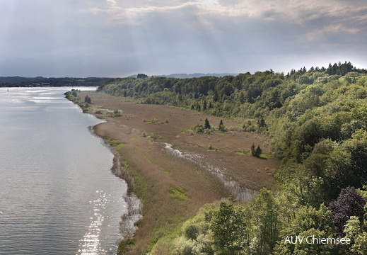 Herreninsel - südlicher Uferstreifen