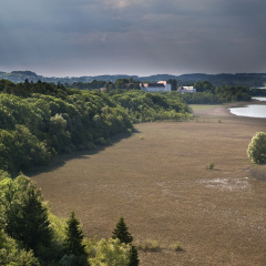 Herreninsel  -  östlicher Uferstreifen