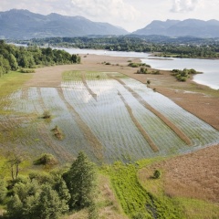 Sassau  -  westliches Ufer