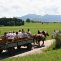 Kutschausflug mit Kampenwand