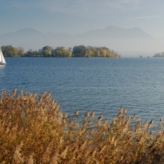 Aussicht auf die Krautinsel