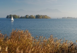 Aussicht auf die Krautinsel