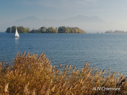 Aussicht auf die Krautinsel