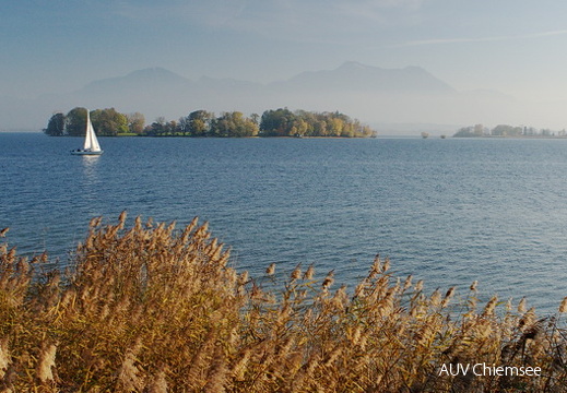 Aussicht auf die Krautinsel