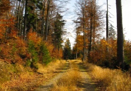 Herbst im Chiemgau  ...