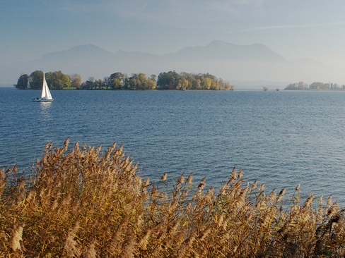 Aussicht auf die Krautinsel