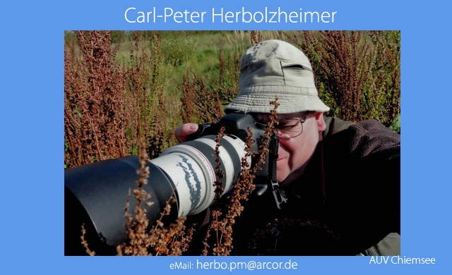 Carl Peter Herbolzheimer -CH-