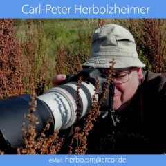 Carl Peter Herbolzheimer -CH-