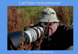 Carl Peter Herbolzheimer