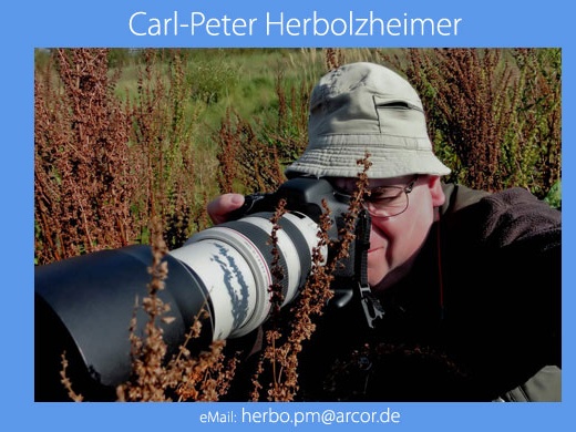 Carl Peter Herbolzheimer -CH-