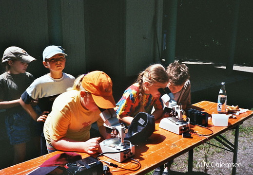 dnads-4_2d-11_10A