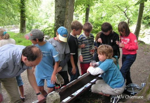dnads-8-GsWi-070611-7PICT12