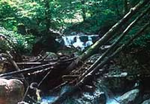 Wildbäche am Achendelta