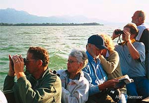 Fernglas