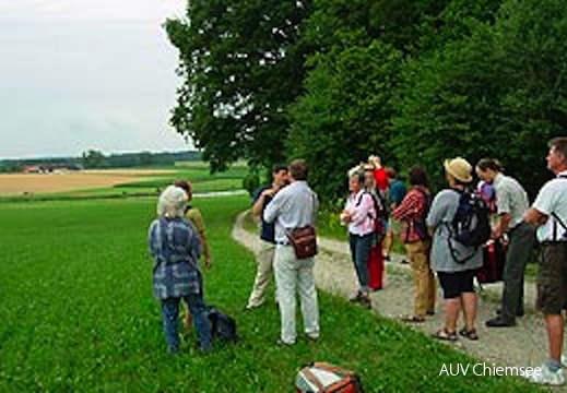 dnads-5_5d-moraene_1-260