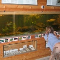 Chiemsee-Aquarium