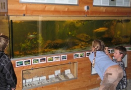 Chiemsee-Aquarium