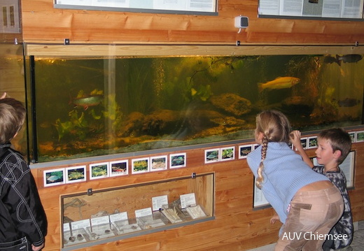 Chiemsee-Aquarium