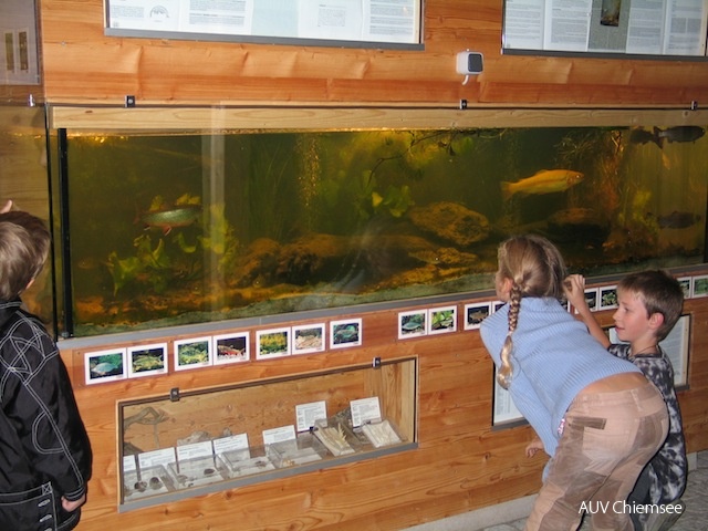 Chiemsee-Aquarium