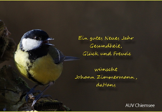 Neujahr 2012