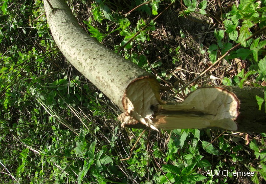 Tour_09 - 119