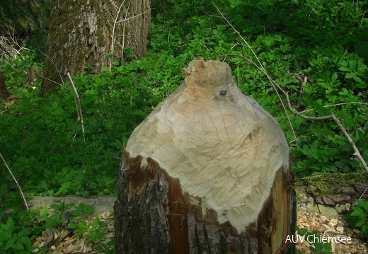 Tour_09 - 139