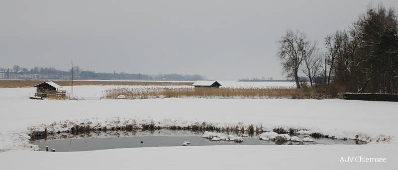 Weiher bei Guggenbichl