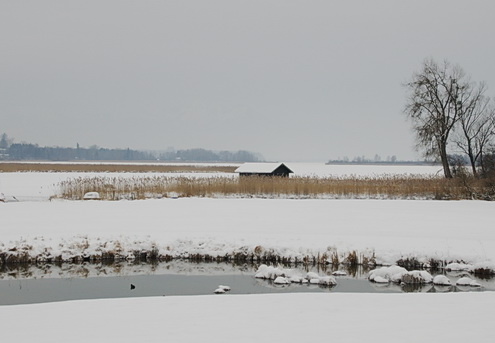 Weiher bei Guggenbichl