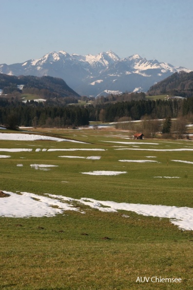 ... zeigte sich gleichsam einer Teppich-Landschaft<br />
<a href="http://www.chiemseeagenda.de/artikel.php?id=4&sub_id=72&artikel_id=1077&popup=1" target="_blank"><u>mit einem <i><b>Mausklick!</b></i> <br />
zum Tagebucheintrag mit weiteren Fotos</u></a><br />auf dem Samerberg / 2.03.2012<br />
Foto: Anton Hötzelsperger AktNatBeo-120302-ha-b-1Samerberger-Filze-hoch.jpg